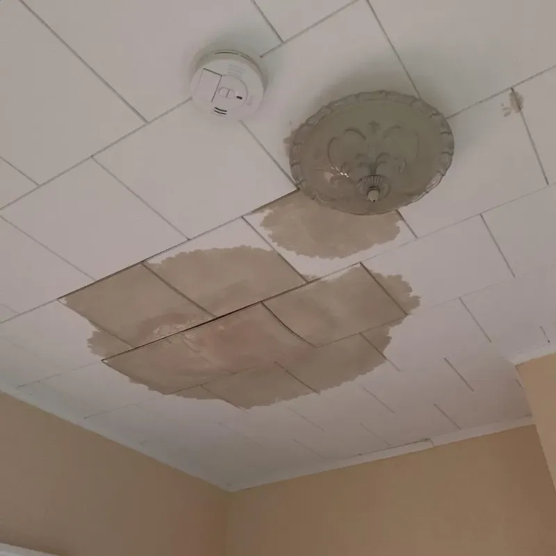 Ceiling Water Damage Repair in Petroleum County, MT