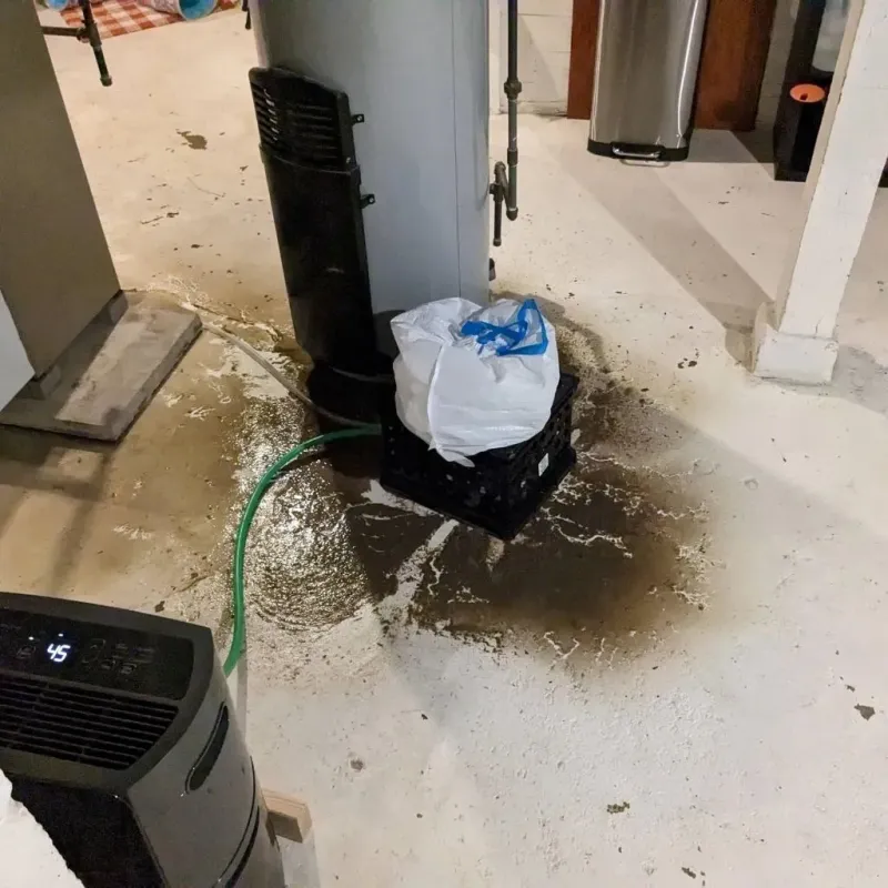 Sewage Backup Cleanup Service in Petroleum County, MT